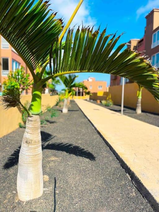 Apartamento Casa Bamboo Corralejo, Espacioso, Piscina Y Parking Extérieur photo