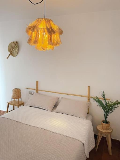 Apartamento Casa Bamboo Corralejo, Espacioso, Piscina Y Parking Extérieur photo