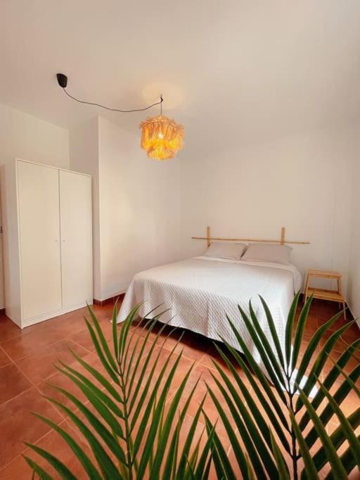 Apartamento Casa Bamboo Corralejo, Espacioso, Piscina Y Parking Extérieur photo