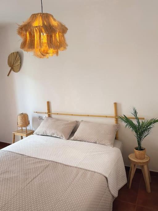 Apartamento Casa Bamboo Corralejo, Espacioso, Piscina Y Parking Extérieur photo
