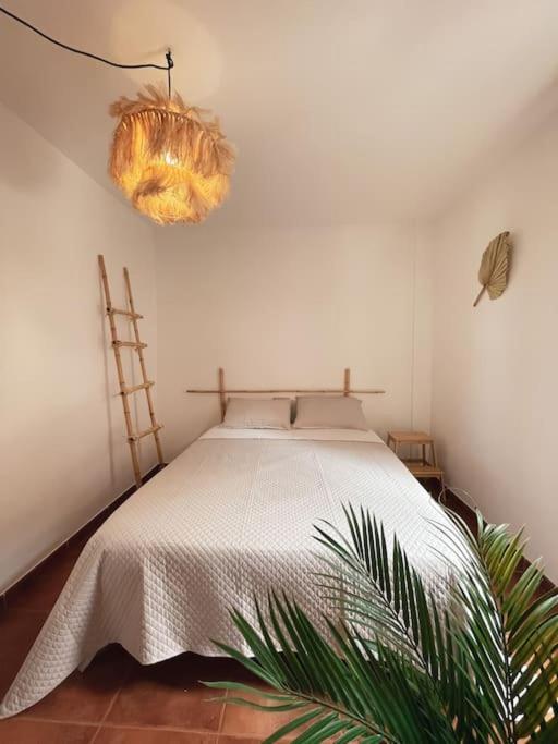 Apartamento Casa Bamboo Corralejo, Espacioso, Piscina Y Parking Extérieur photo